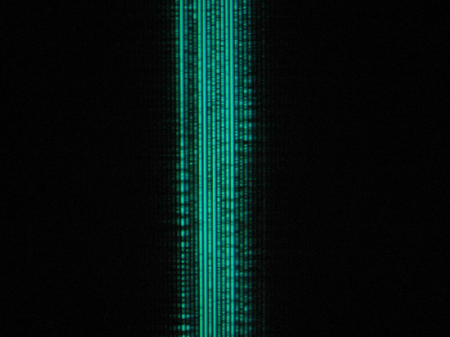 Evolving Sonic Environment