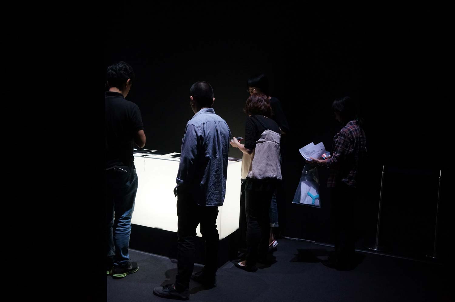 Anomalous? at YCAM, 2013