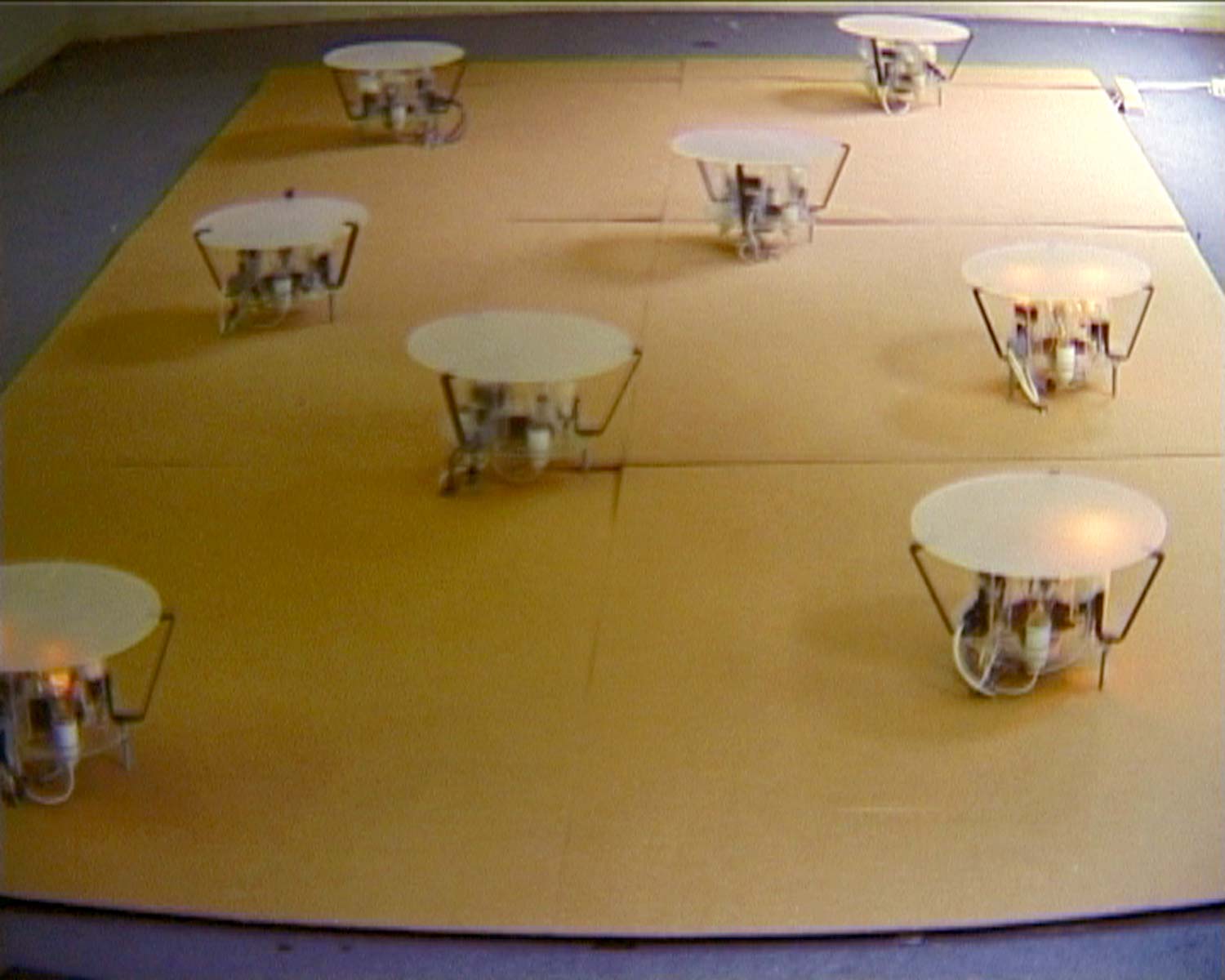 Moody Mushroom Floor (1996)
