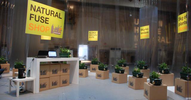 Natural Fuse shop, San Sebastian, 2010