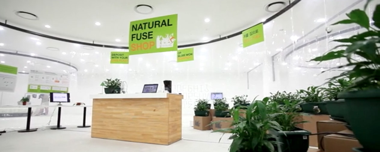 Natural Fuse shop INDAF, Seoul, 2010