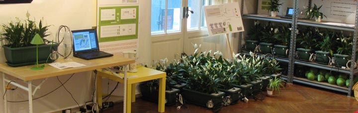Natural Fuse shop, New York City, 2009