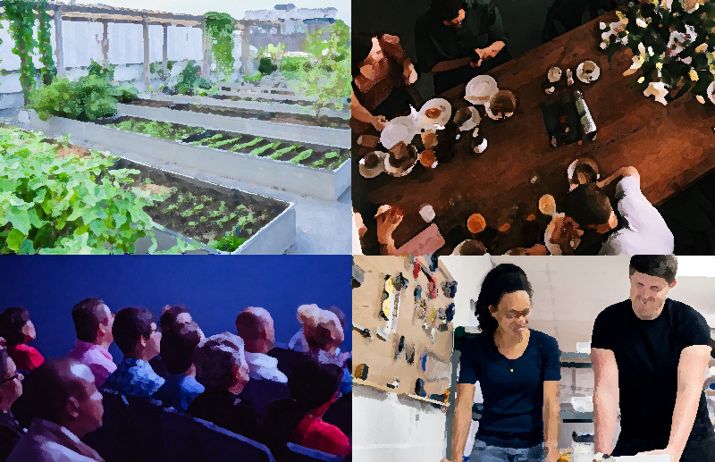 Rewilding through growing, eating, learning, nurturing